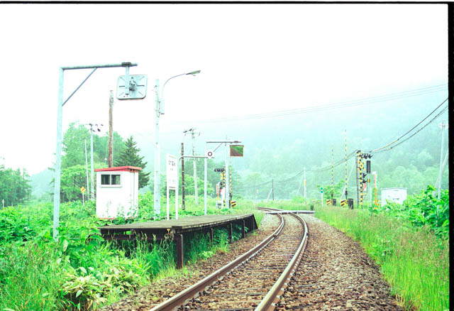 緩やかな曲線に、踏切とともに簡素な駅が佇んでいる