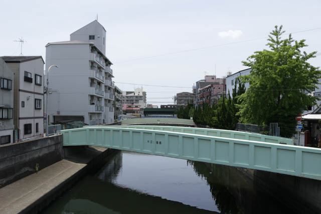 「近所のドブ川」だった城東運河 最近は、水質が改善してきているが…