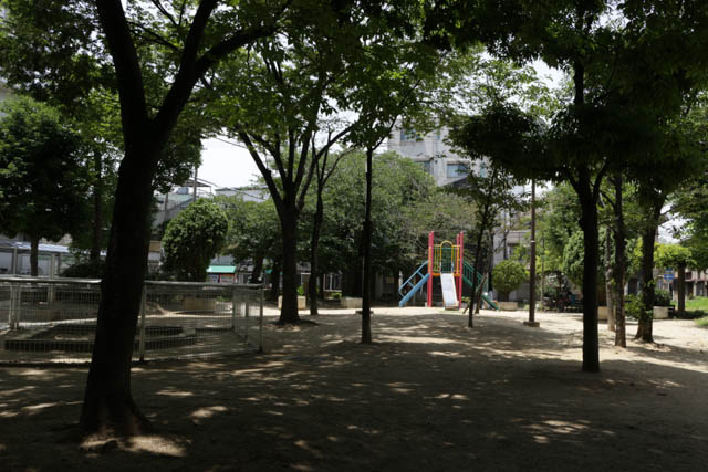 ささやかな「自然」だった自宅前の公園 木々の樹形は40年前と変わらない