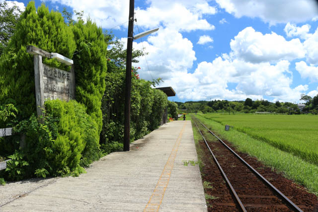ホームの植え込みに埋もれるような味わいのある駅名標