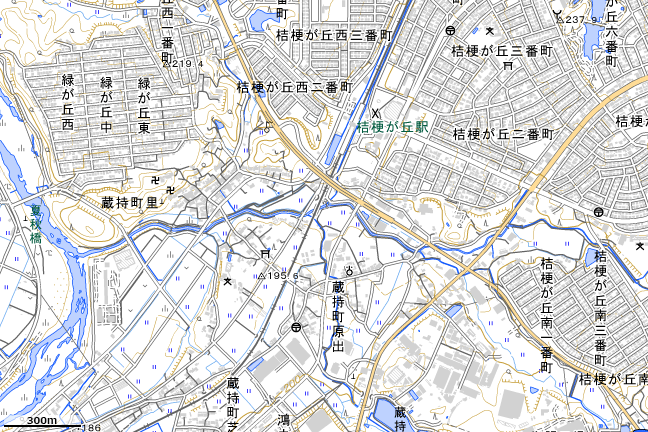 地形図：桔梗が丘駅周辺