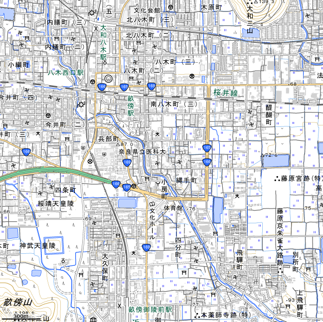 地形図：大和八木駅周辺廃線跡