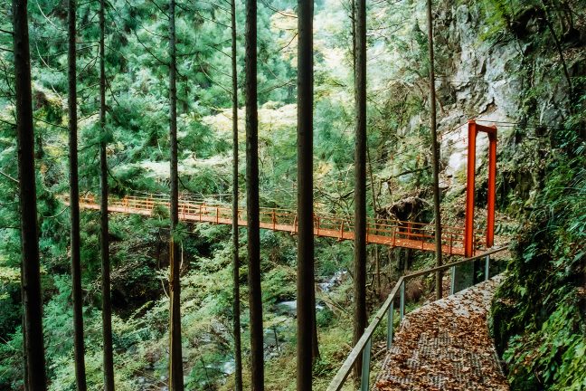 小和田駅から最寄りの塩沢集落に通じる山道にある吊橋