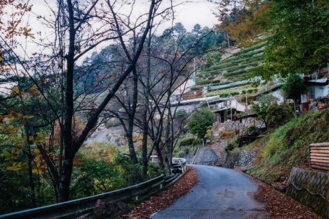 JR飯田線・小和田駅付近・塩沢集落(静岡県:2001年11月)
