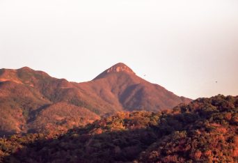 薩摩半島野間岳（鹿児島県：1997年12月）