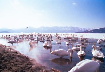 屈斜路湖砂湯（北海道：1998年2月）