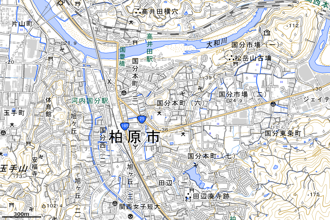 地形図：河内国分駅周辺