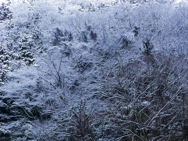 辺りの山は雪を被って静まり返っていた