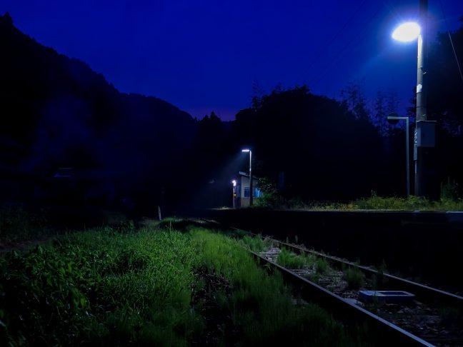 草むした線路が、この区間の運転本数の少なさを物語る