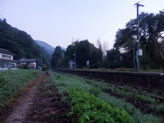 朝もやの底から夏空の気配が漂い始めた