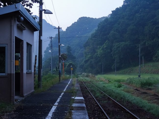 草むした山林の向こうに続く芸備線の鉄路