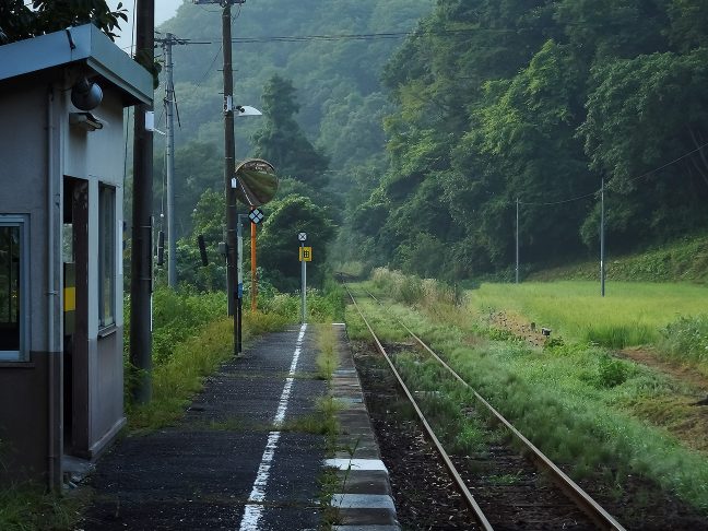 草むした線路が旅情を誘う