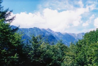 中尾高原付近から望む笠ヶ岳（岐阜県：2001年8月）