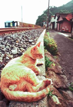 旧JR鹿児島本線・上田浦駅付近（熊本県：1999年8月）