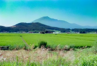 JR花輪線・東大更～大更間・岩出山（岩手県：2001年8月）