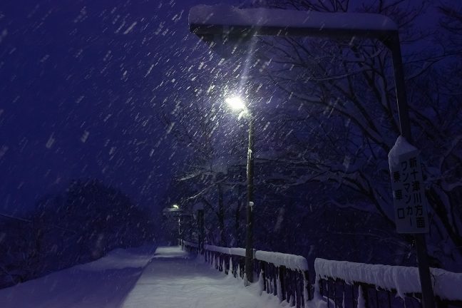 雪の降り積もるホームを、駅の明かりが孤独に照らし続けていた