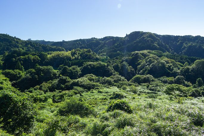 栗又の滝付近の房総丘陵の風景