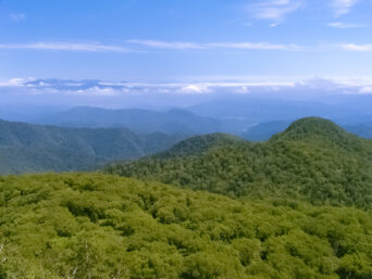 夕張山地・夕張岳付近から望む十勝岳連峰（北海道：2003年7月）