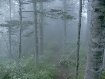 日高山脈・伏美岳付近（北海道：2003年7月）