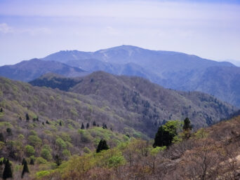 比良山系・武奈ヶ岳付近から望む蓬莱山（滋賀県：2015年4月）
