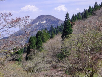 比良山系・中峠から望む鳥谷山（滋賀県：2015年4月）