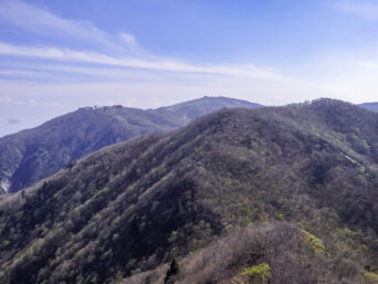 比良山系・鳥谷山から望む蓬莱山（滋賀県：2015年4月）