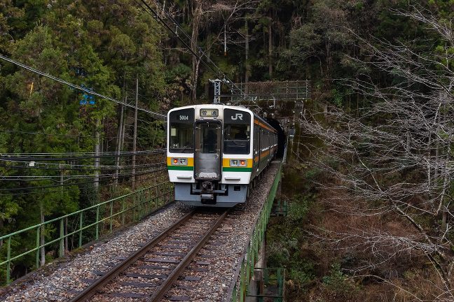 テンポ淵澤橋梁を越えて観音山隧道に進入していく普通列車を見送る