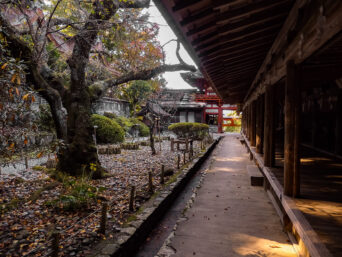 吉野山・水分神社（奈良県：2015年10月）