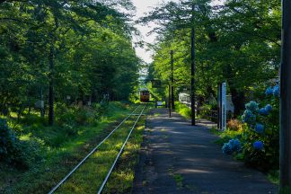 津軽鉄道・芦野公園駅(青森県:2016年8月)