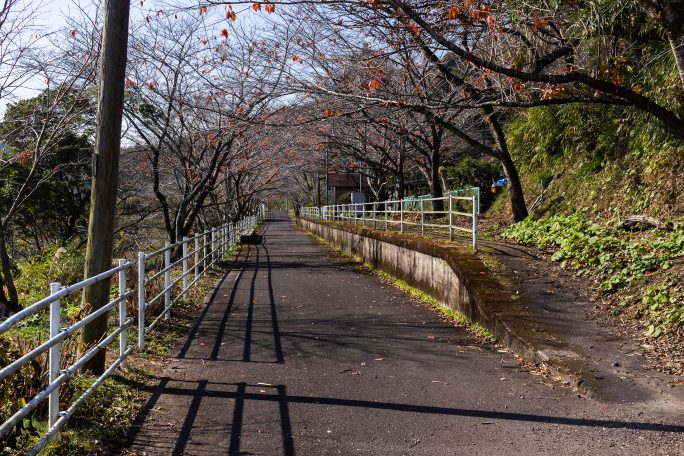 国鉄志布志線・岩北駅（鹿児島県：2016年12月)