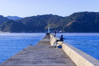 八代海・野坂の浦(熊本県:2016年12月)