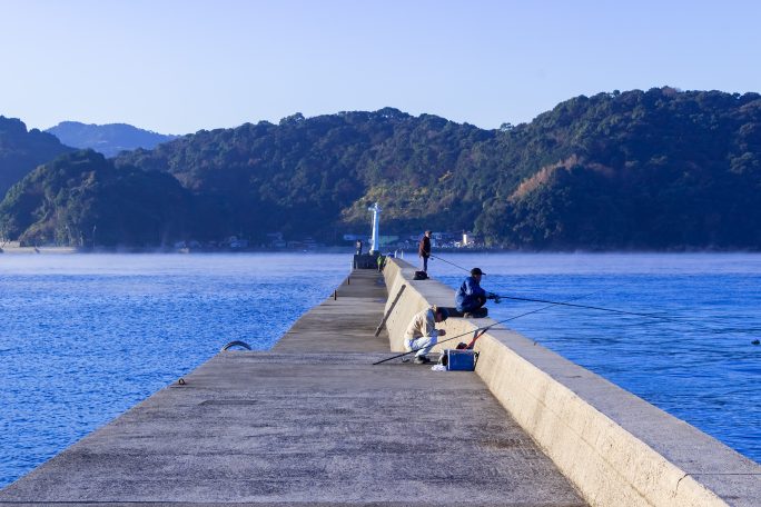 八代海・野坂の浦（熊本県：2016年12月）