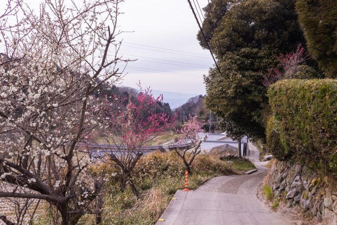 国道308号・暗峠（大阪府：2017年3月）