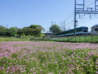 京阪交野線・河内森～私市間（大阪府：2017年4月）