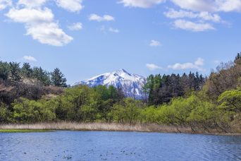 JR五能線・越水～鳴沢間から望む岩木山（青森県：2017年5月）