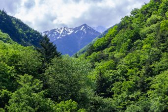 赤石沢付近から望む赤石岳（静岡県：2017年6月）