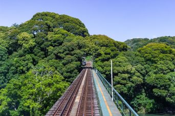 天竜浜名湖鉄道・フルーツパーク駅（静岡県：2017年6月）