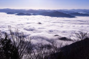 福知山・烏ヶ岳から望む雲海（京都府：2020年1月）