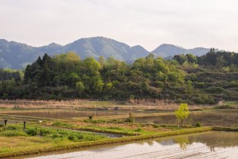 福知山・談集落付近から望む榎峠（京都府：2020年5月）