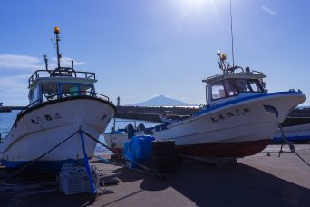 野寒布岬付近から望む利尻島（北海道：2020年10月）