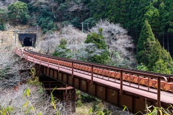 JR播但線・生野～長谷間・第三市川橋梁（兵庫県：2022年3月）