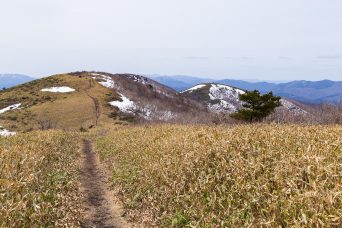 道後山から望む岩樋山方面（鳥取県：2022年3月）