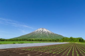 京極付近から望む後志羊蹄山（北海道：2022年5月）