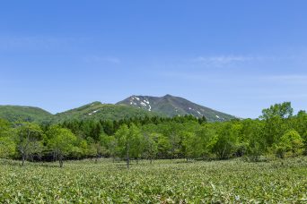 昆布温泉付近から望むニセコアンヌプリ（北海道：2022年5月）
