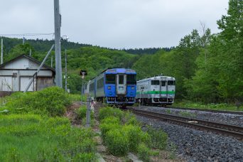 JR石北本線・金華信号場・特急「オホーツク」（北海道：2022年6月）