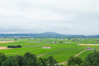 石狩・新十津川集落付近（北海道：2022年7月）