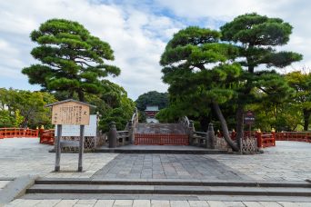 鎌倉・鶴岡八幡宮（神奈川県：2022年10月）