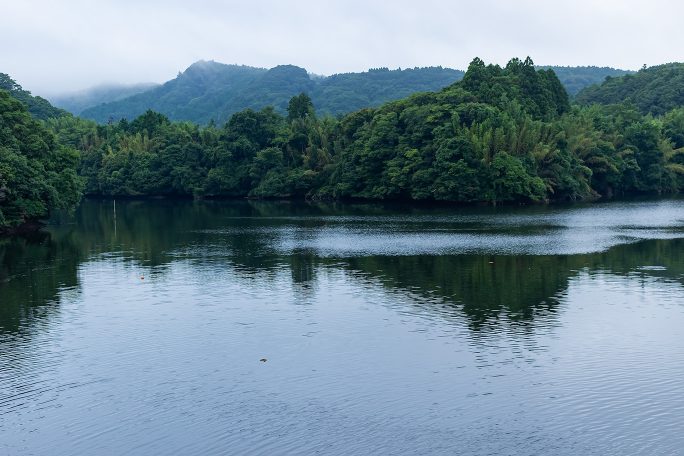 亀山湖は人造湖ながら湖畔の緑は深い