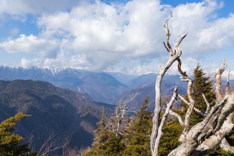 南アルプス・小無間山付近から望む赤石岳方面（静岡県：2023年3月）