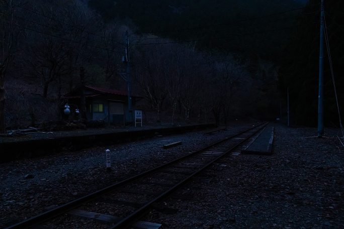 タヌキたちが孤独に夜の尾盛駅を見守る